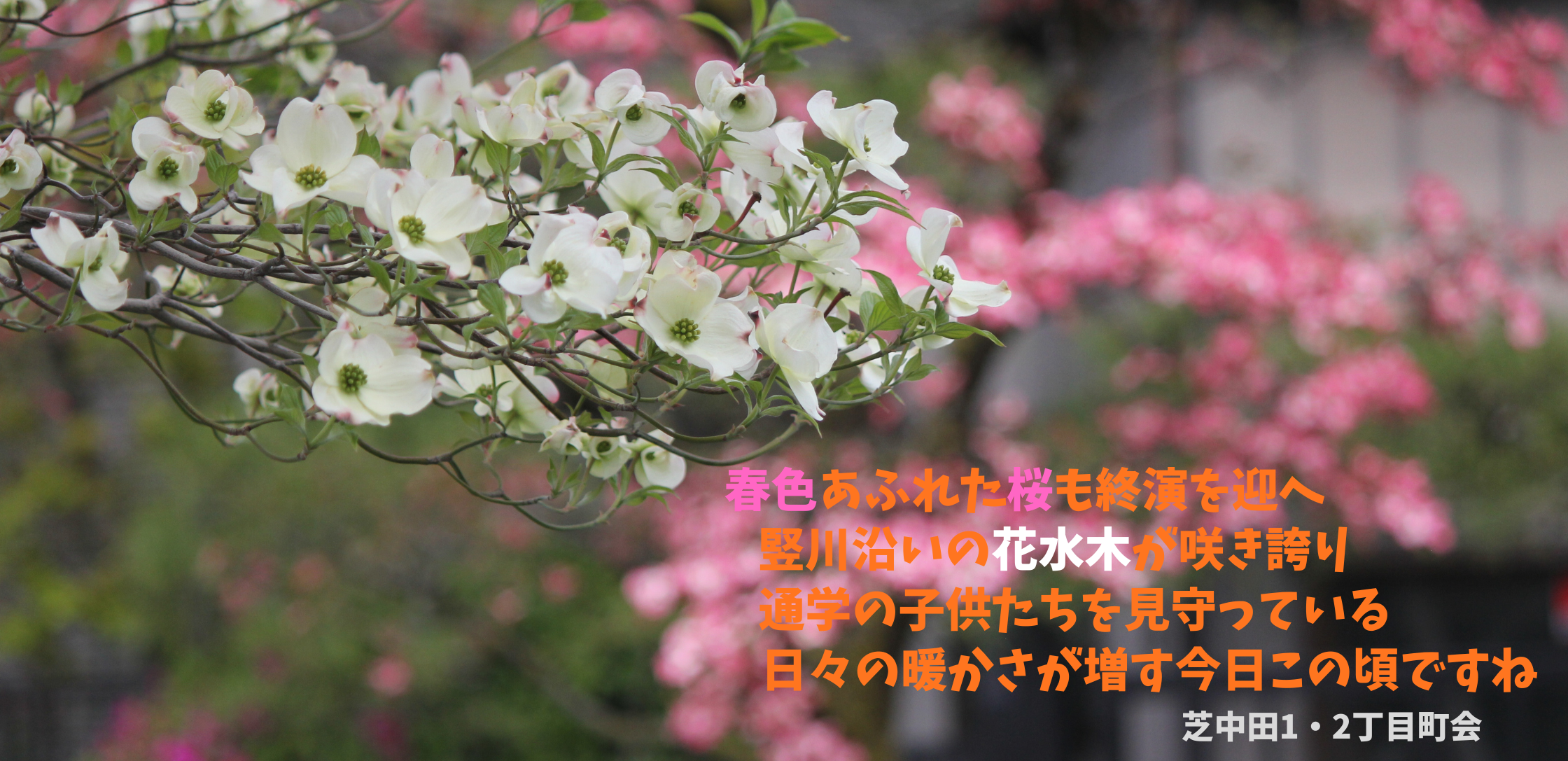 ようこそ芝中田１・２丁目町会へ